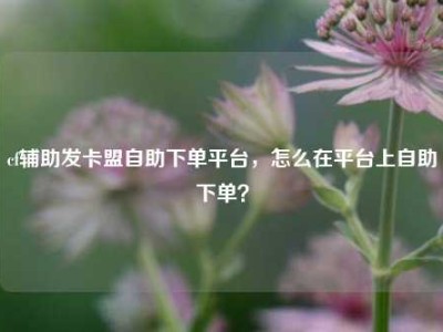 cf辅助发卡盟自助下单平台,怎么在平台上自助下单?