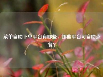 菜单自助下单平台有哪些,哪些平台可自助点餐?