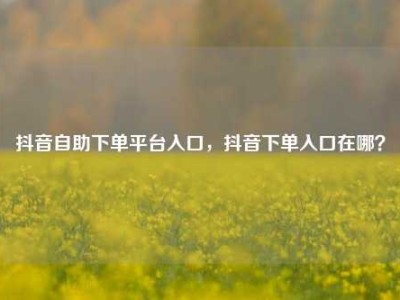 抖音自助下单平台入口,抖音下单入口在哪?
