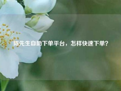 陈先生自助下单平台,怎样快速下单?