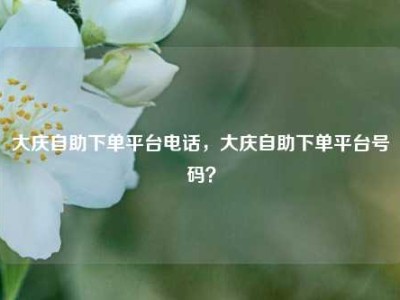大庆自助下单平台电话，大庆自助下单平台号码？