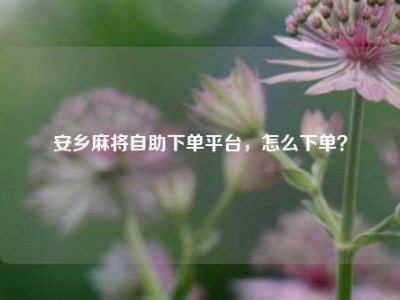 安乡麻将自助下单平台，怎么下单？