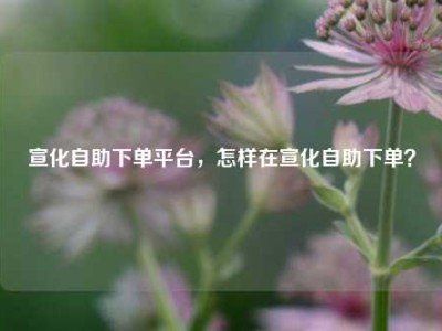宣化自助下单平台,怎样在宣化自助下单?