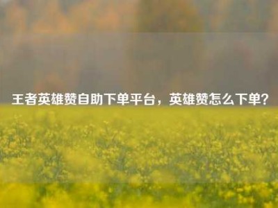 王者英雄赞自助下单平台,英雄赞怎么下单?