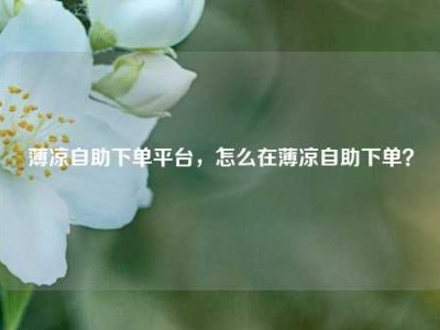 薄凉自助下单平台,怎么在薄凉自助下单?