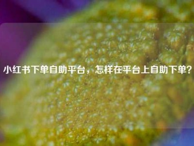 小红书下单自助平台，怎样在平台上自助下单？