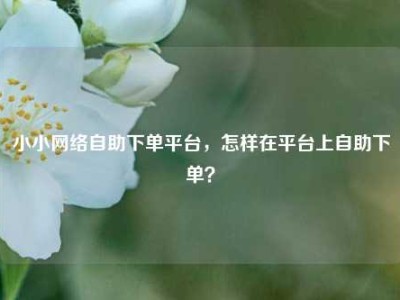 小小网络自助下单平台，怎样在平台上自助下单？