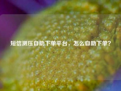短信测压自助下单平台,怎么自助下单?