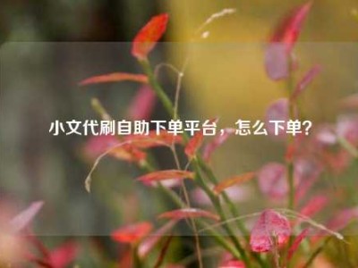 小文代刷自助下单平台,怎么下单?