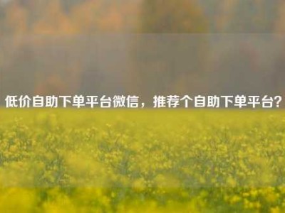 低价自助下单平台微信,推荐个自助下单平台?