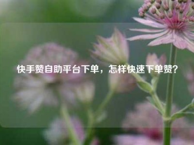 快手赞自助平台下单,怎样快速下单赞?
