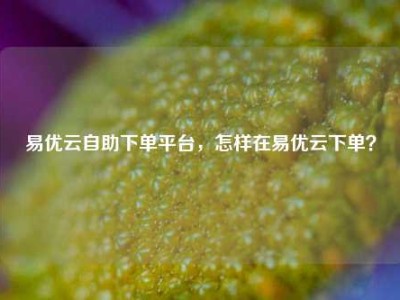 易优云自助下单平台,怎样在易优云下单?