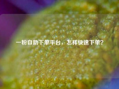 一粉自助下单平台，怎样快速下单？