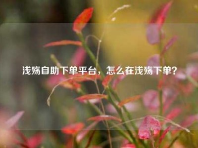 浅殇自助下单平台，怎么在浅殇下单？