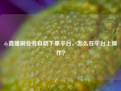 dy直播刷业务自助下单平台,怎么在平台上操作?