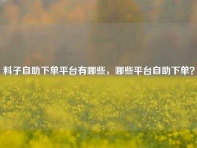 料子自助下单平台有哪些，哪些平台自助下单？