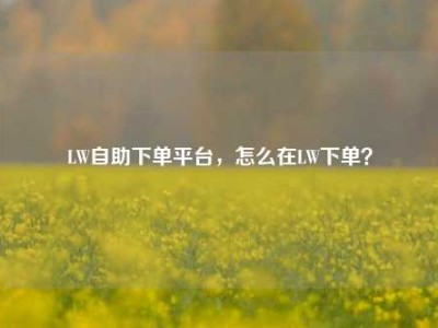 LW自助下单平台，怎么在LW下单？
