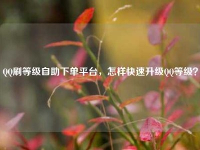 QQ刷等级自助下单平台,怎样快速升级QQ等级?