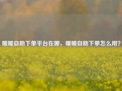 暖暖自助下单平台在哪，暖暖自助下单怎么用？