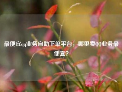 最便宜qq业务自助下单平台,哪里卖QQ业务最便宜?