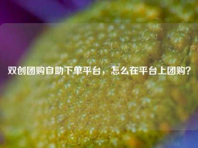 双创团购自助下单平台,怎么在平台上团购?