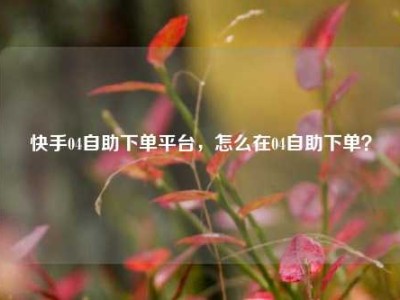 快手04自助下单平台，怎么在04自助下单？