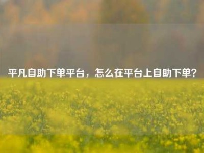 平凡自助下单平台,怎么在平台上自助下单?
