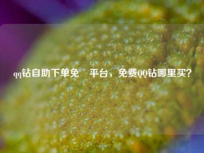 qq钻自助下单免費平台,免费QQ钻哪里买?