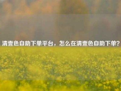 清壹色自助下单平台，怎么在清壹色自助下单？