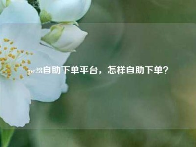 pc28自助下单平台,怎样自助下单?