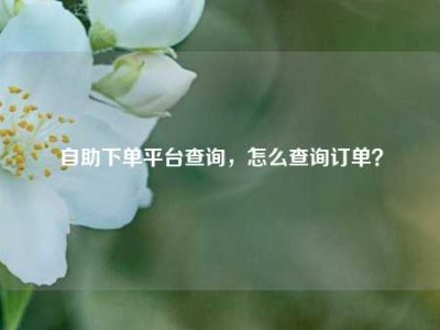 自助下单平台查询，怎么查询订单？