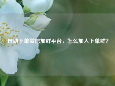 自助下单微信加群平台,怎么加入下单群?