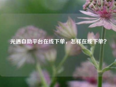 光遇自助平台在线下单,怎样在线下单?