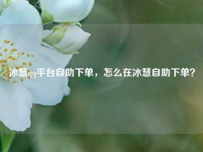 冰慧qq平台自助下单,怎么在冰慧自助下单?