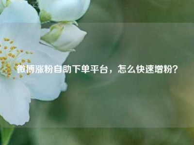 微博涨粉自助下单平台,怎么快速增粉?