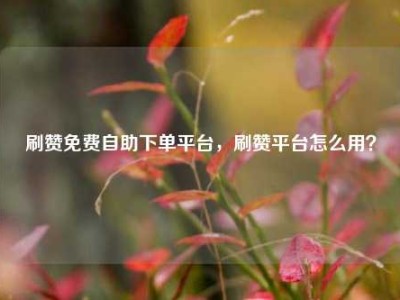 刷赞免费自助下单平台，刷赞平台怎么用？