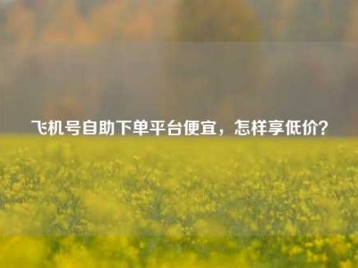 飞机号自助下单平台便宜,怎样享低价?