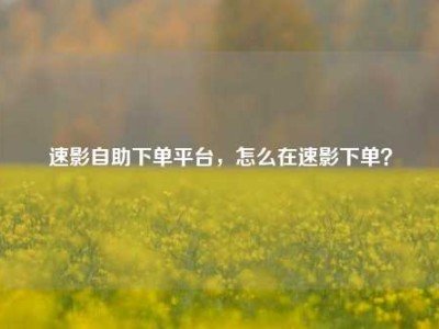 速影自助下单平台，怎么在速影下单？