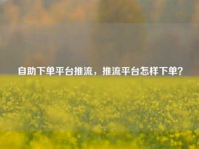自助下单平台推流，推流平台怎样下单？