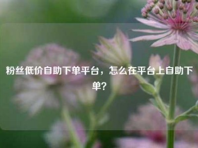 粉丝低价自助下单平台，怎么在平台上自助下单？